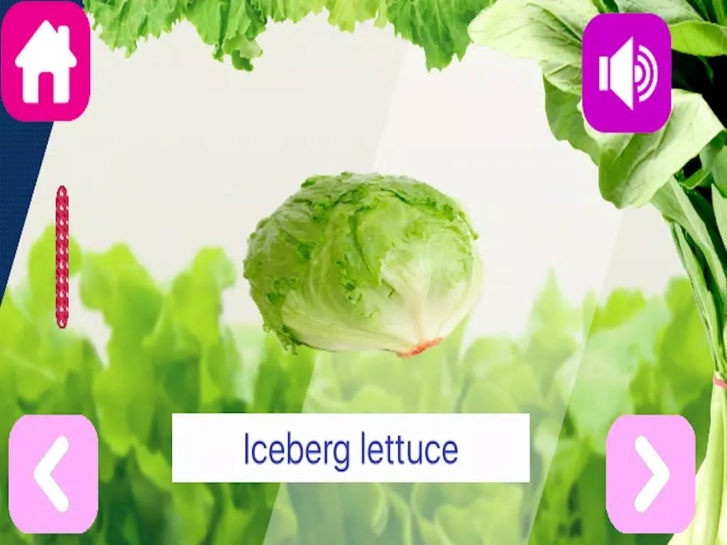 Capturas de tela do Veggie Flash Cards & Vegetables Alphabet from A to Z for Kids iPad 