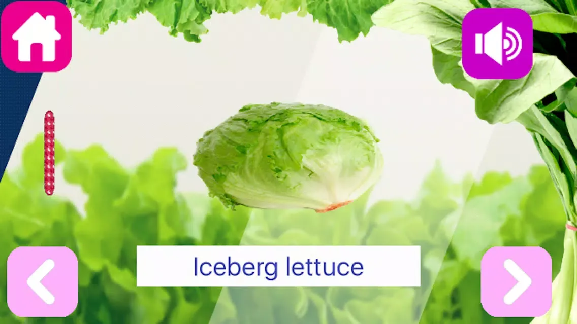 Capturas de tela do Veggie Flash Cards & Vegetables Alphabet from A to Z for Kids