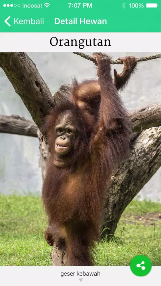 تصاویر Surabaya Zoo