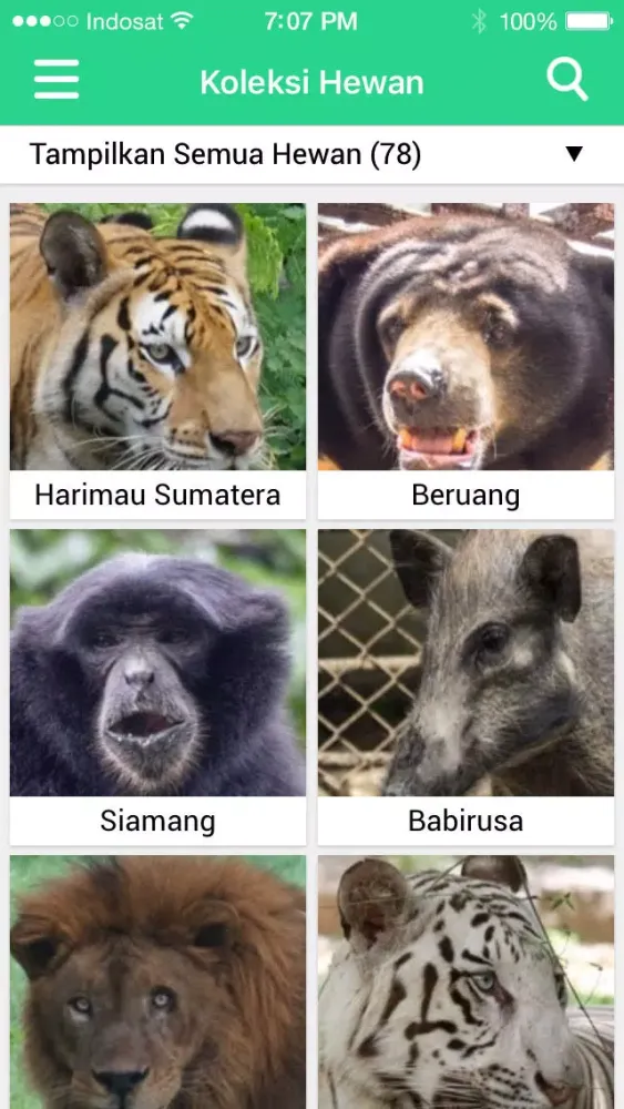تصاویر Surabaya Zoo