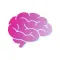 Total Recall: Learn Vocabulary