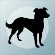 What's My Mutt? What's My Mutt?