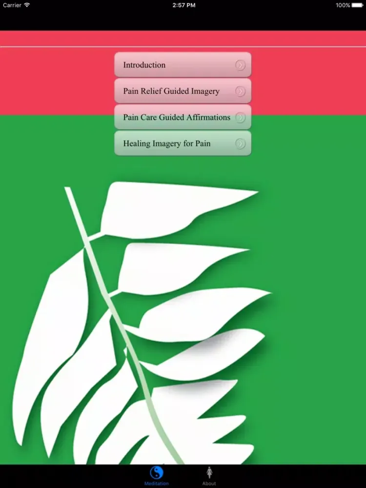 General Pain Management iPad  سکرین شاٹس
