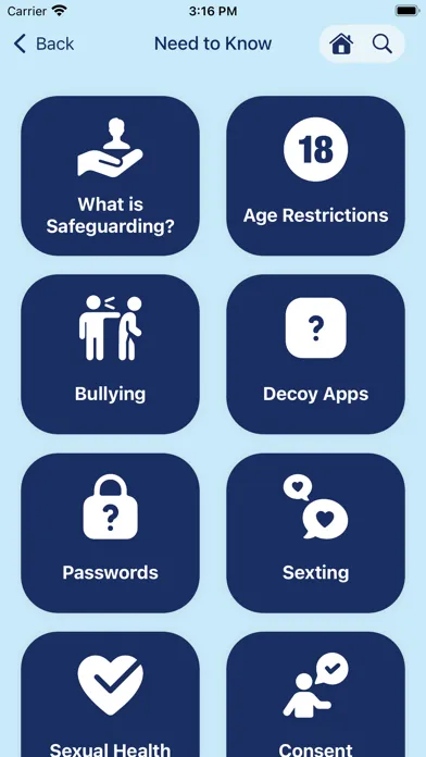 Safeguarding Board NI স্ক্রিনশট