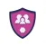 Safer Schools NI