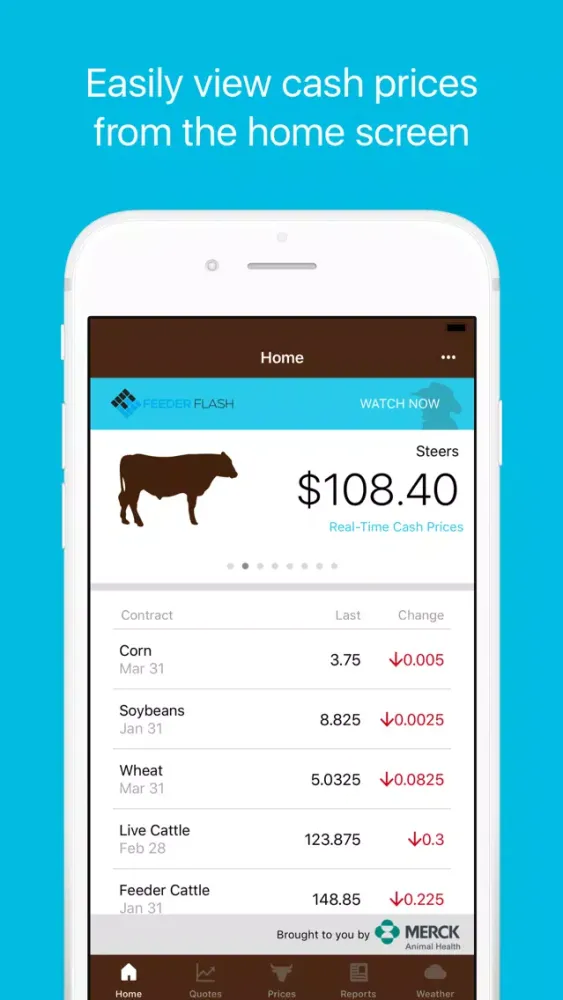 Capturas de tela do Beef Market Central