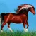 Horse Poney Wild Agility Race : The forest dangerous path - Free Edition