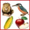 Toddler Educational Activities