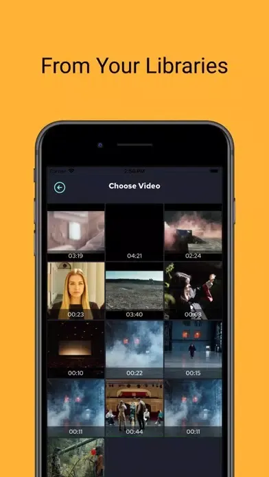 Sunspot - Infiniter Video Hub 스크린샷