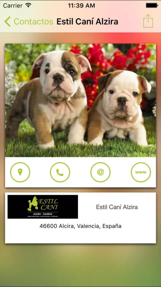 Capturas de tela do Estil Cani - todo para tu mascota