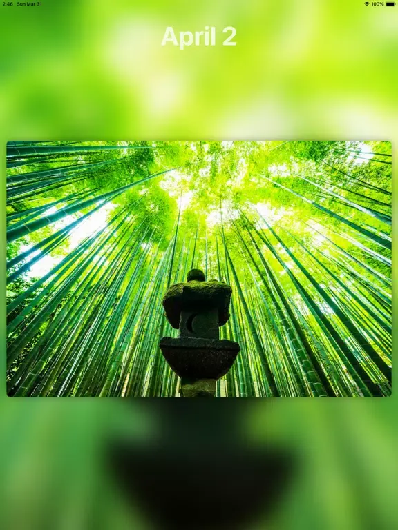 Japan Everyday iPad  Screenshots