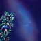 七夕祭2023