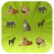 Spot It Out-Wildlife