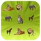 Spot It Out-Wildlife