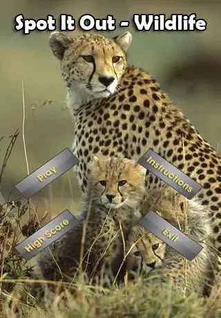 Captures d'écran de Spot It Out-Wildlife