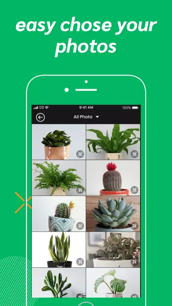 plant identifier & find info Ekran Görüntüleri