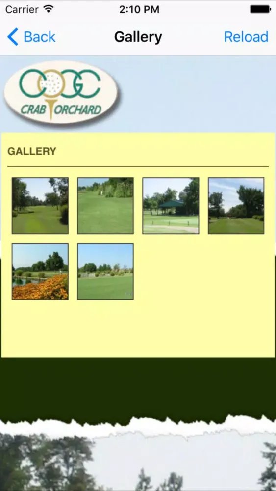 Скриншоты Crab Orchard Golf Club
