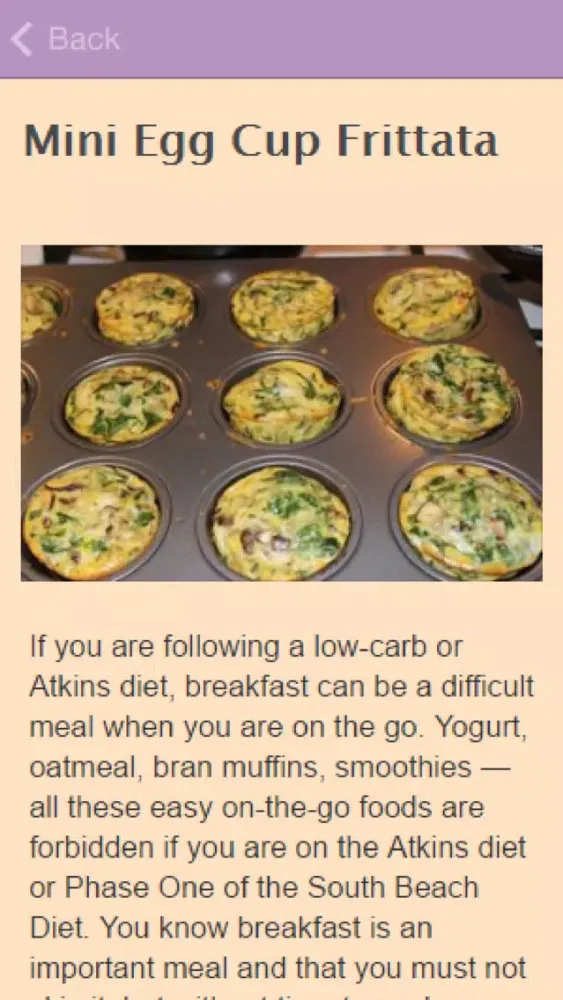 Atkins Diet Recipes. Ekran Görüntüleri