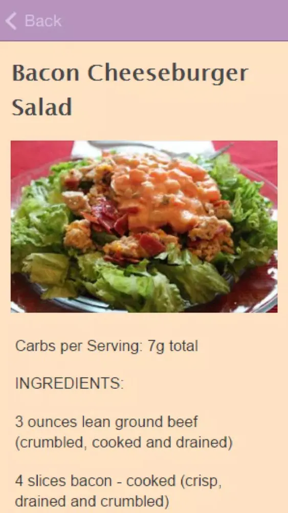 Atkins Diet Recipes. Ekran Görüntüleri