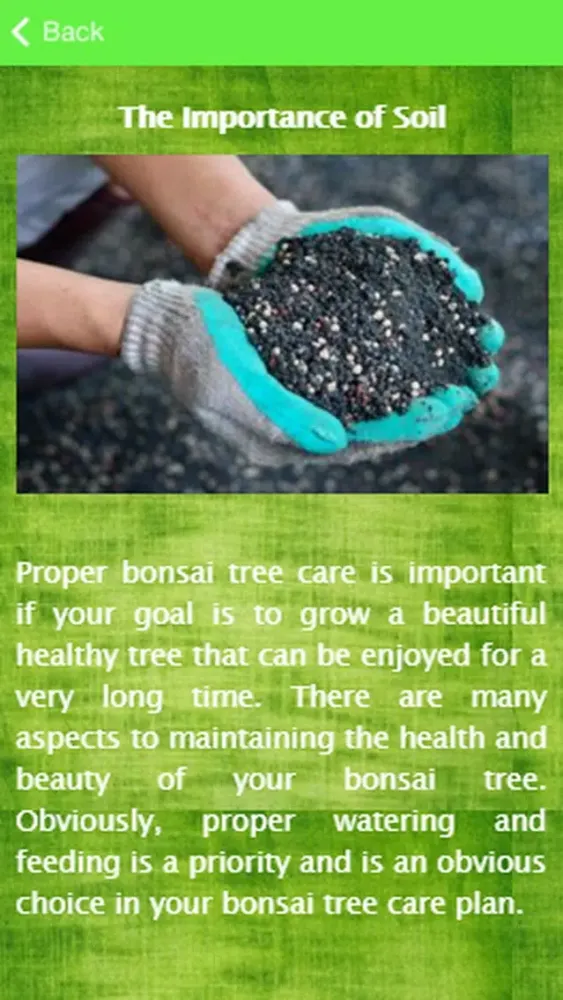 Captures d'écran de Bonsai Tree Care Guide