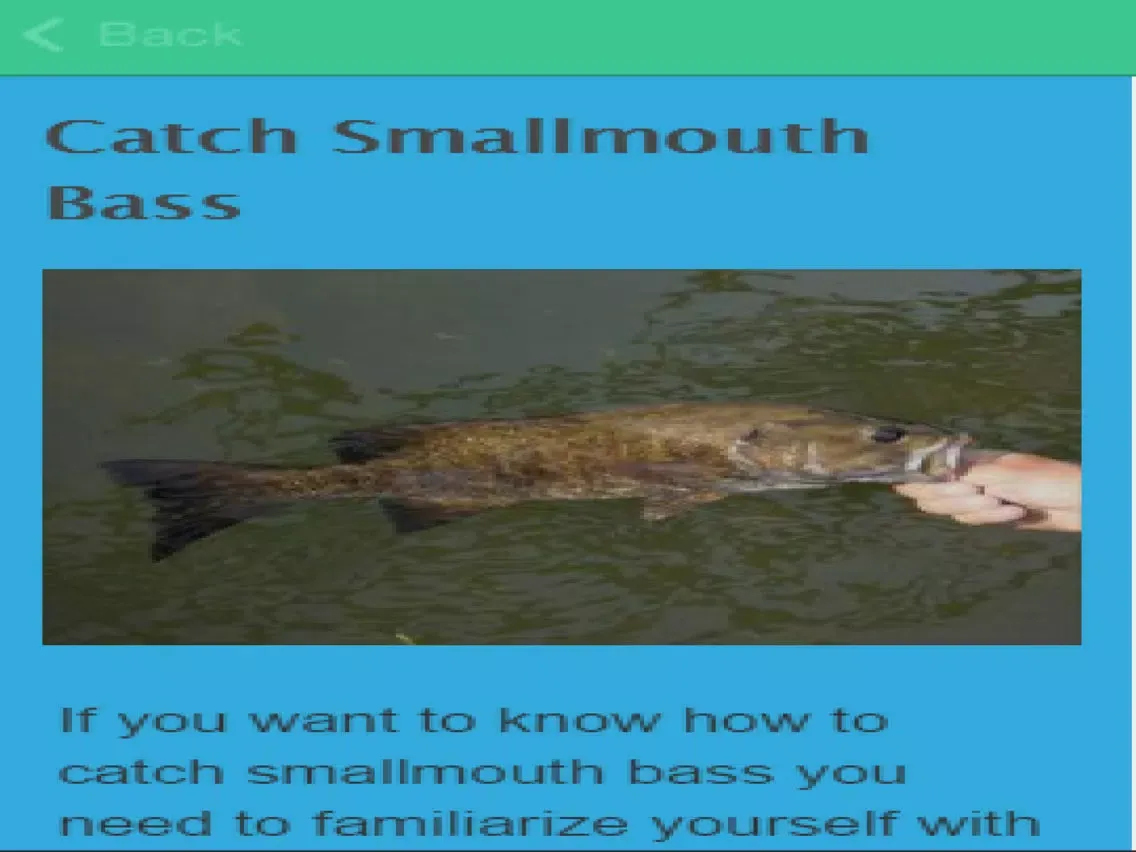 How To Catch Bass iPad  سکرین شاٹس