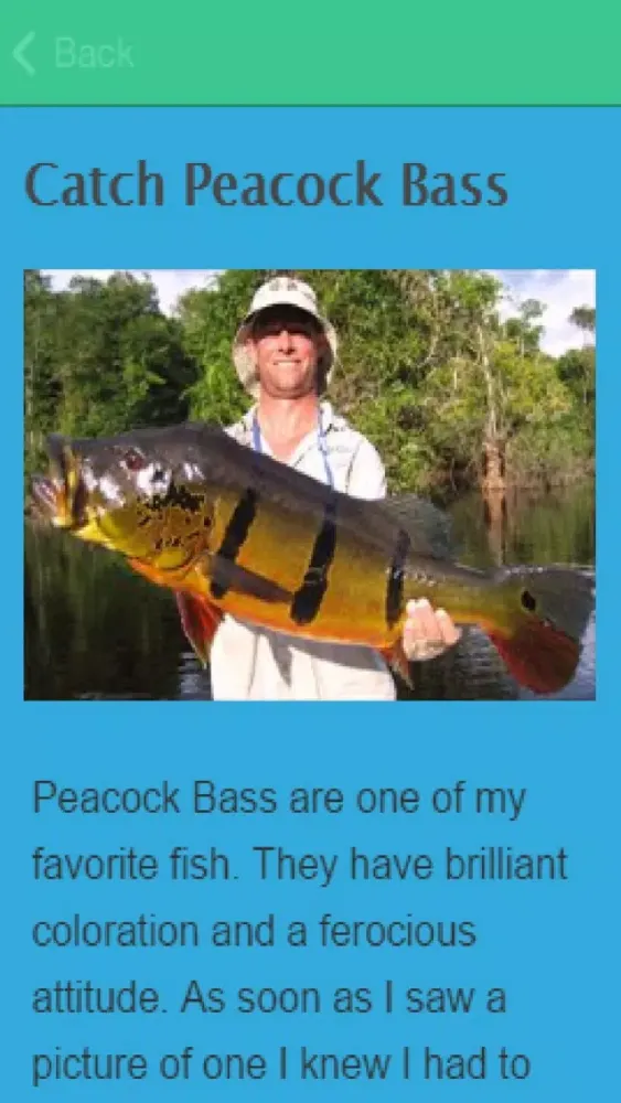 How To Catch Bass سکرین شاٹس