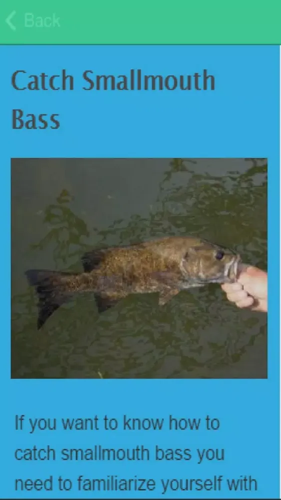 How To Catch Bass سکرین شاٹس