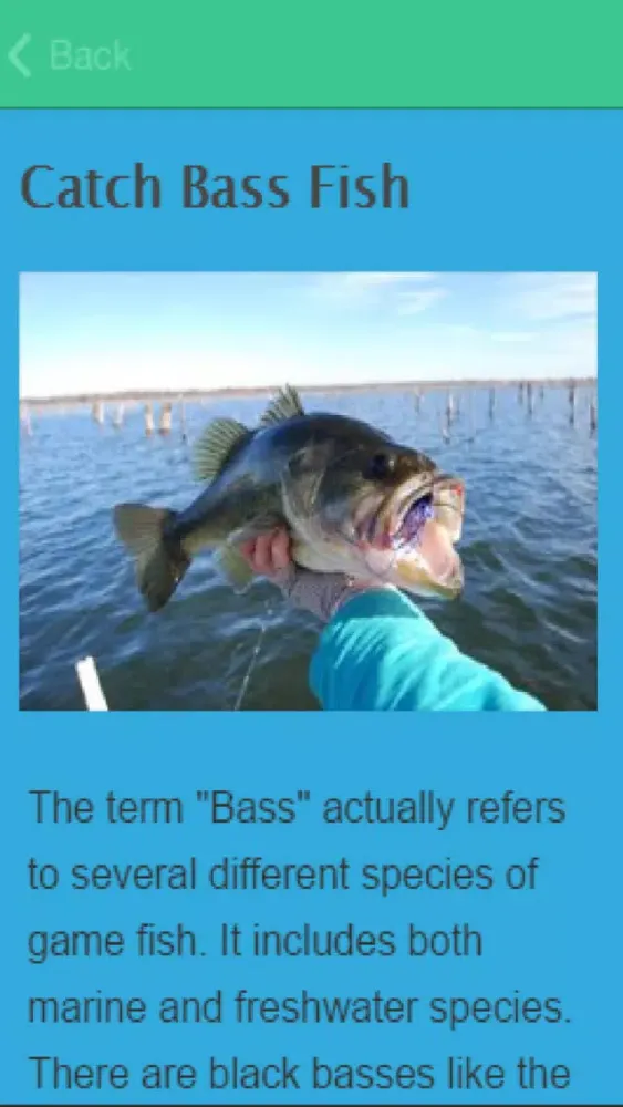 How To Catch Bass سکرین شاٹس