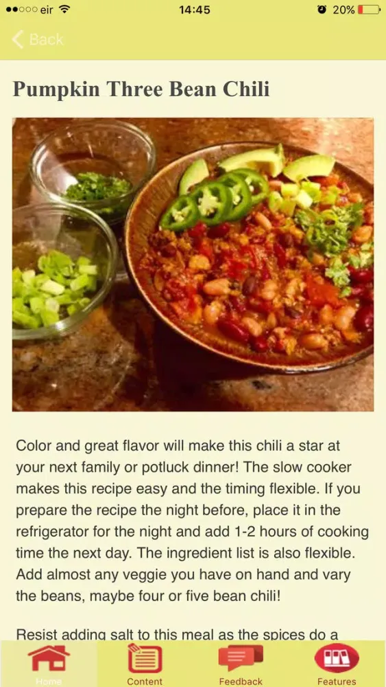 Vegetarian Chili Recipes স্ক্রিনশট