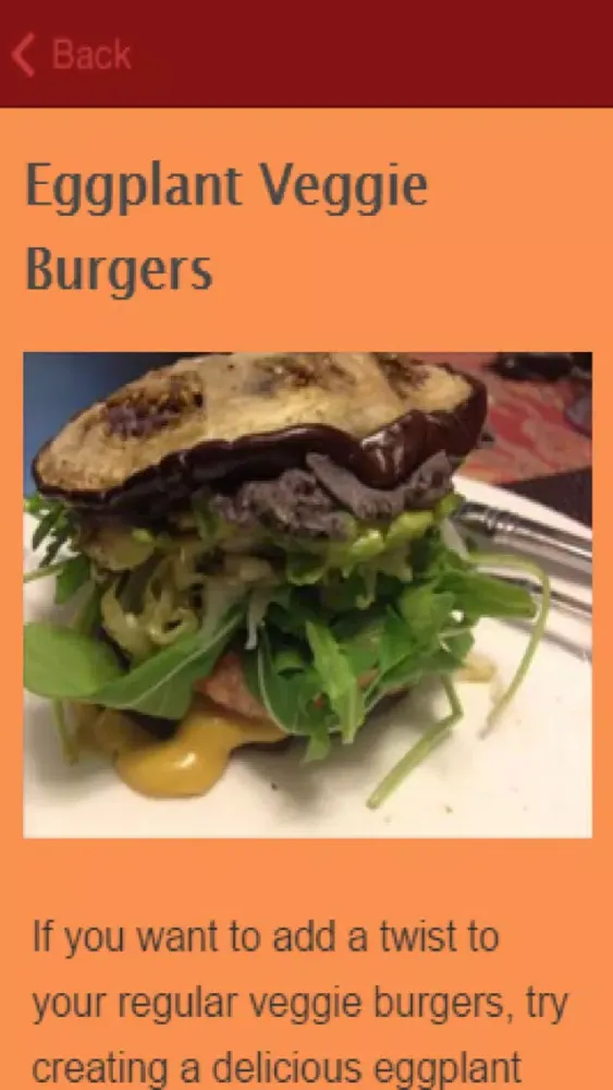 تصاویر Veggie Burger Recipes