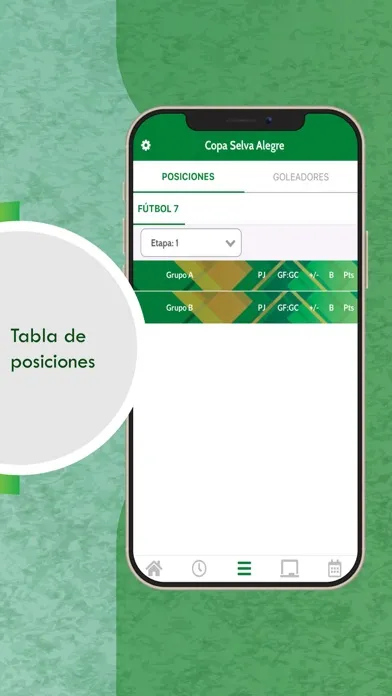 Liga Selva Alegre سکرین شاٹس