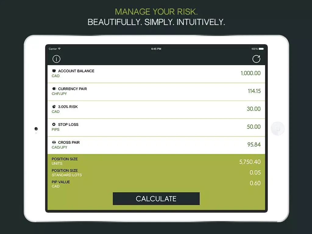 Forex Trade Calculator - A Position Size & Pip Value Trading Tool For The FX Day Trader iPad Screenshots