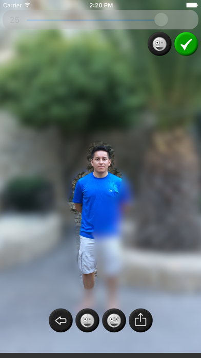 Blur Image Screenshots