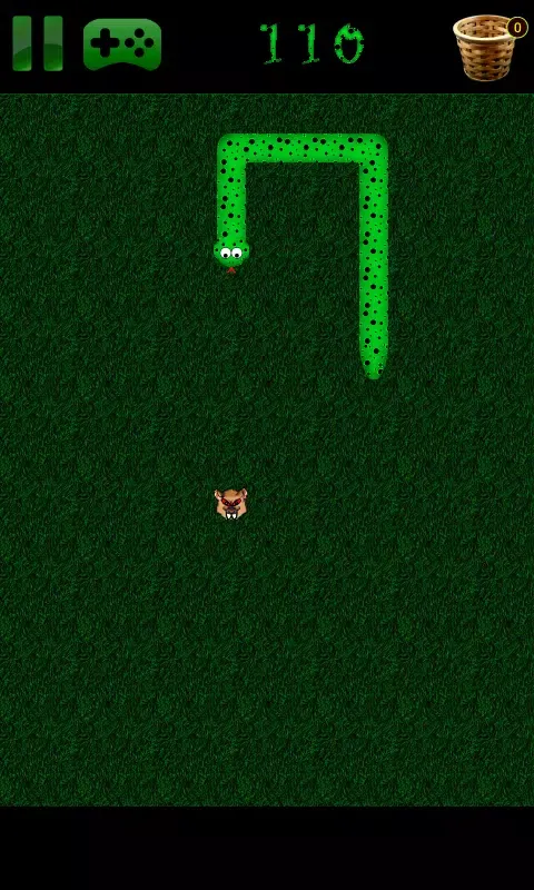 تصاویر Snake vs Rats