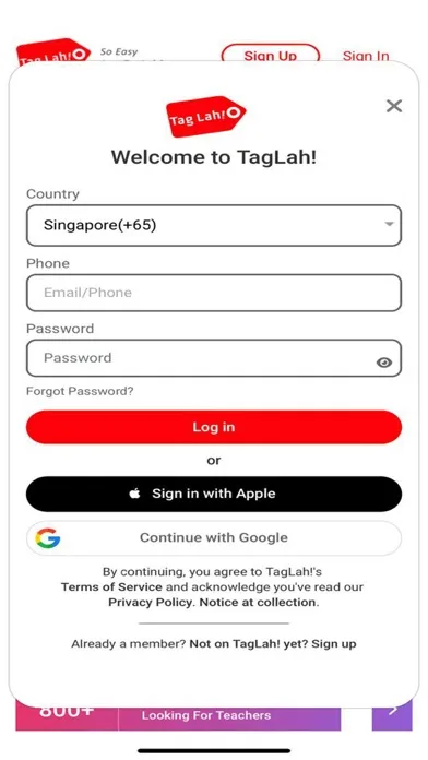 Tangkapan skrin Tag Lah