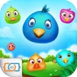 Popping Bird