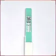 Early Pregnancy Test