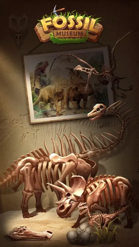 My Fossil Museum Screenshots