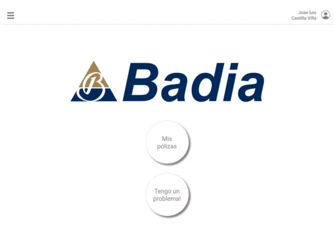 Скриншоты Badia iPad 