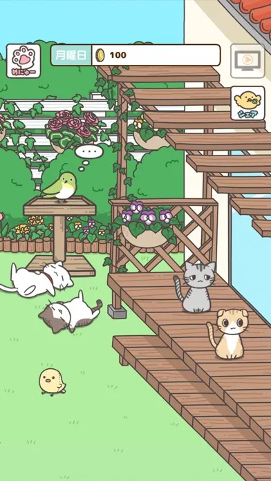 Capturas de pantalla de 飼い猫ぐらし