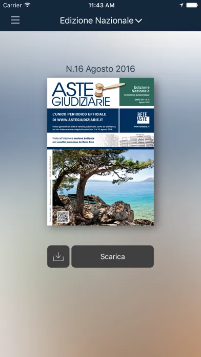 Zrzuty ekranu Aste Giudiziarie Press