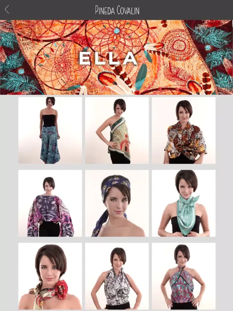 Pineda Covalin iPad  Screenshots