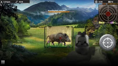صور Wild Boar Target Shooting