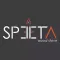 Poêles SPEETA By Starck