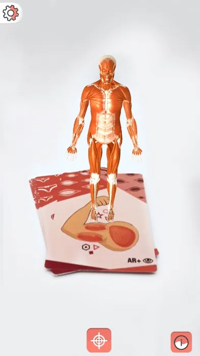Скриншоты Body cards