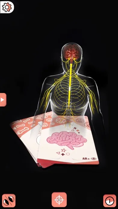 Скриншоты Body cards