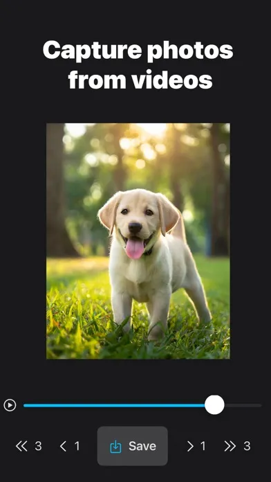 صور AI Frame Grabber :Video to Pic