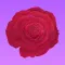 Roses for Friends Stickers