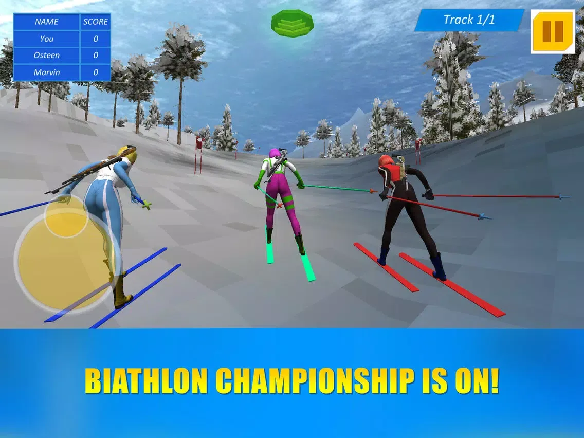 Biathlon Winter Sports 3D iPad  স্ক্রিনশট