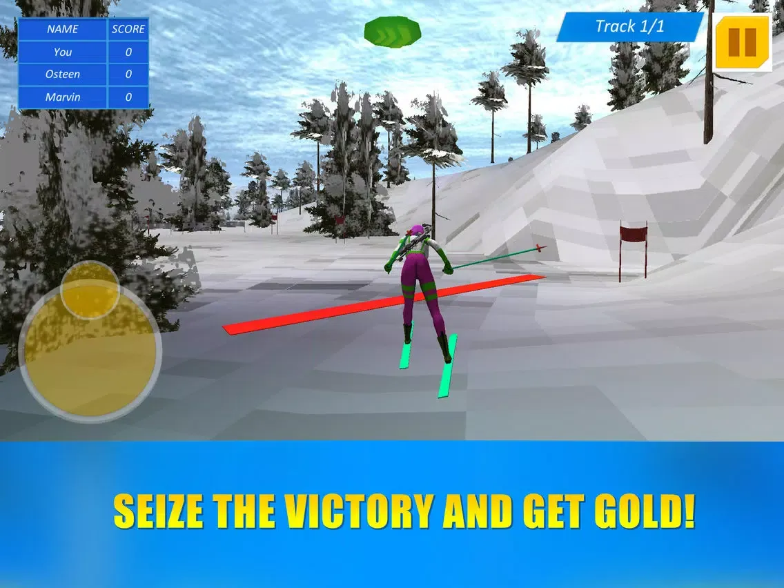 Biathlon Winter Sports 3D iPad  স্ক্রিনশট
